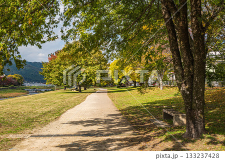 秋の鴨川風景 133237428