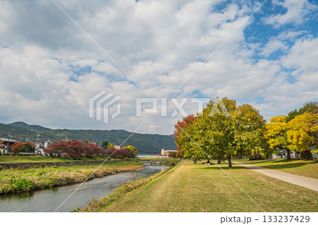 秋の鴨川風景 133237429