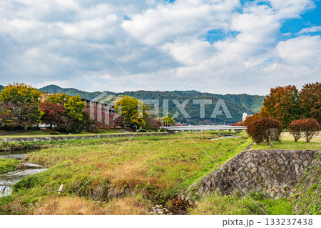 秋の鴨川風景 133237438
