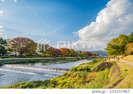 秋の鴨川風景 133237467