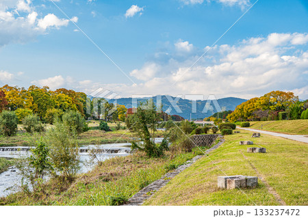 秋の鴨川風景 133237472