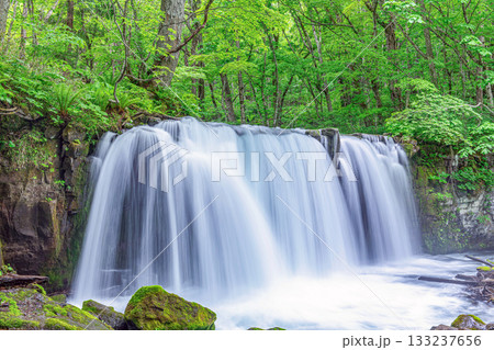 青森県十和田市　初夏の奥入瀬渓流　銚子の滝 133237656