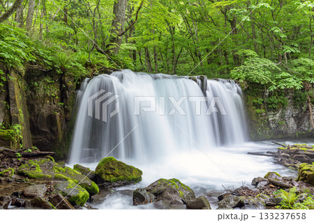 青森県十和田市　初夏の奥入瀬渓流　銚子の滝 133237658