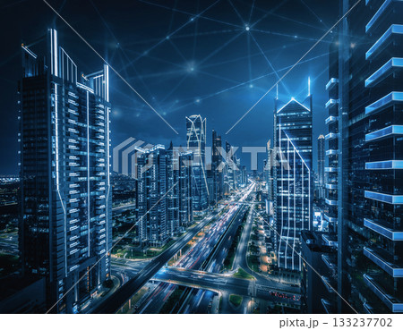 グローバルネットワーク 133237702