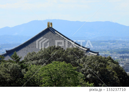 東大寺二月堂より大仏殿の眺め 133237710