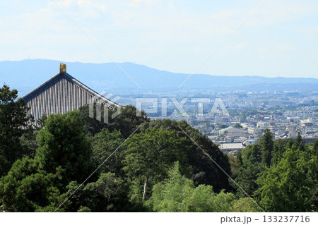 東大寺二月堂より大仏殿の眺め 133237716