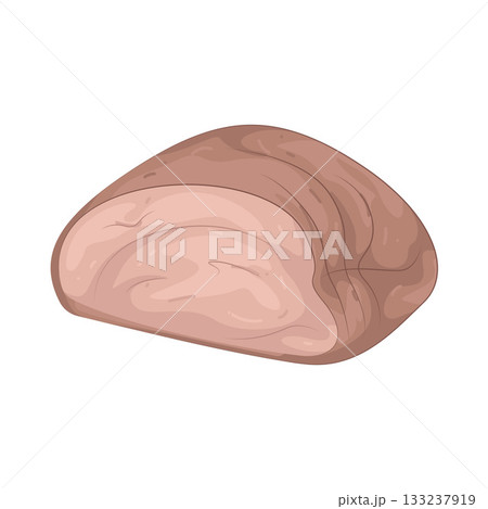 Illustration of meat 133237919