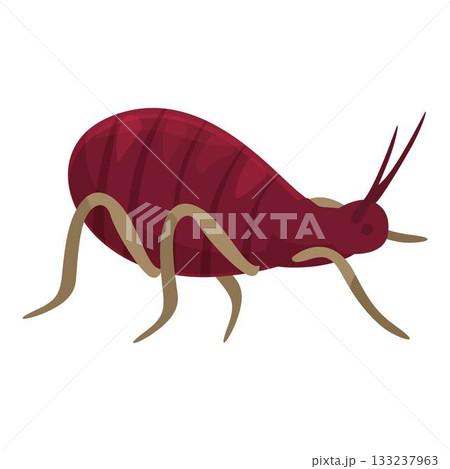 Red mite crawling, parasite insect spreading diseases Red mite crawling, parasite insect spreading diseases 133237963