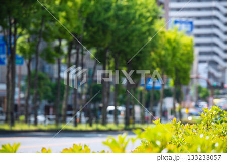 谷町筋の風景 133238057