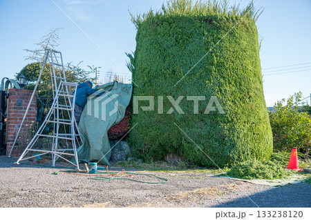 Japanese Gardener 133238120