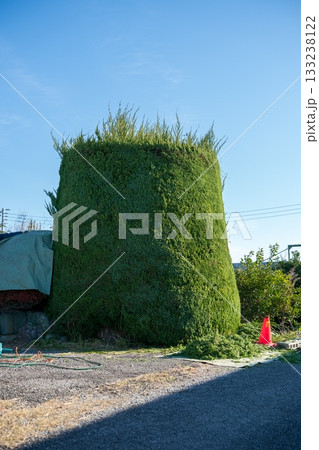 Japanese Gardener 133238122