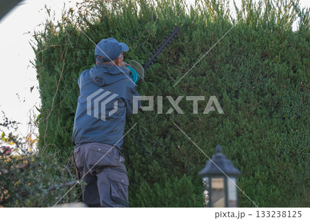 Japanese Gardener 133238125