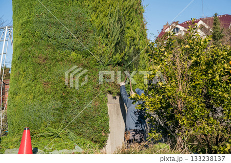 Japanese Gardener 133238137