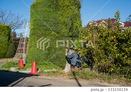 Japanese Gardener 133238139