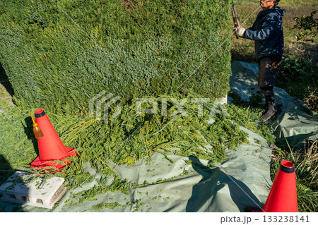 Japanese Gardener 133238141