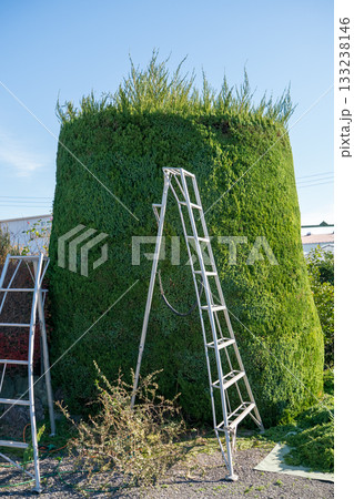 Japanese Gardener 133238146