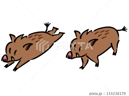 かわいい成獣のイノシシ。アイソメトリック図。 133238170