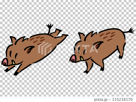かわいい成獣のイノシシ。アイソメトリック図。 133238170