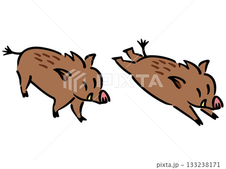 かわいい成獣のイノシシ。アイソメトリック図。 133238171