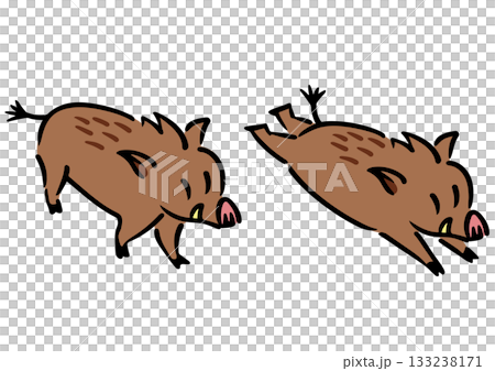 かわいい成獣のイノシシ。アイソメトリック図。 133238171