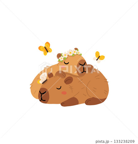 Vector capybara illustration. Cute scene with two capibaras slipping with closed eyes, with butterflies and flower wreath. Funny spring or summer scene with adorable animal Vector capybara illustration. Cute scene with two capibaras slipping with closed eyes, with butterflies and flower wreath. Funny spring or summer scene with adorable animal 133238209