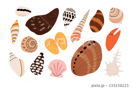 Sea shell cartoon set. Ocean exotic underwater seashell conch aquatic mollusk, sea spiral snail collection. Tropical beach shells. Modern flat style isolated on white background. Vector illustration 133238223