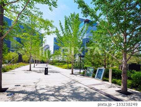 梅田の街並み 梅田の街並み 133238249