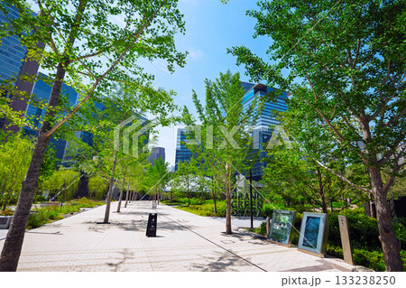 梅田の街並み 梅田の街並み 133238250