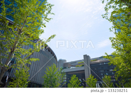 梅田の街並み 133238251