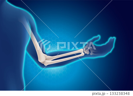 3D human arm skeleton showing elbow joint, radius and ulna bones on a glowing blue medical background. Suitable for healthcare, anatomy, and medical education content. Vector illustration. 133238348