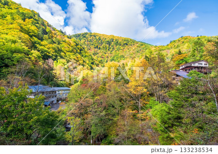 秋の白骨温泉《長野県 松本市》 秋の白骨温泉《長野県 松本市》 133238534