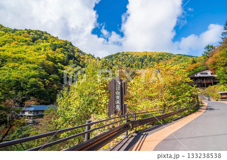秋の白骨温泉《長野県 松本市》 秋の白骨温泉《長野県 松本市》 133238538