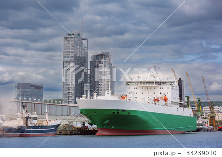 Cargo ferry in the port of Gdynia, Poland 133239010