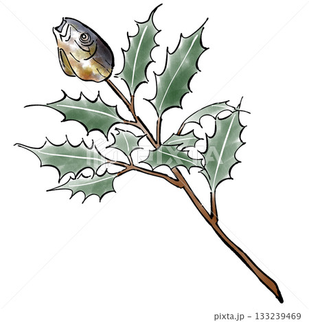 柊鰯_節分_冬 柊鰯_節分_冬 133239469