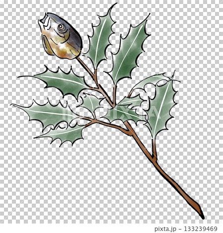 柊鰯_節分_冬 柊鰯_節分_冬 133239469