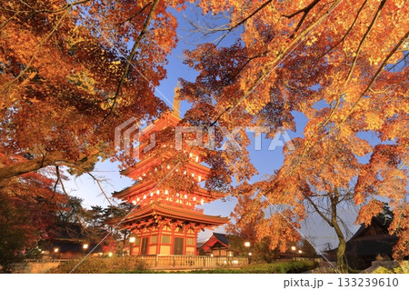 日野市高幡不動尊　五重塔と紅葉　ライトアップ 133239610