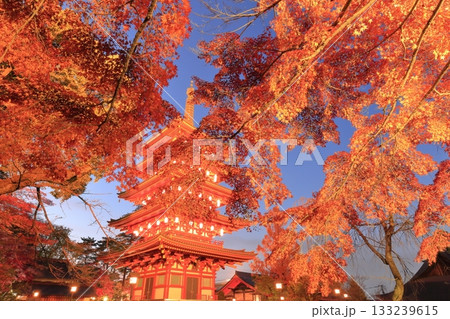 日野市高幡不動尊　五重塔と紅葉　ライトアップ 133239615