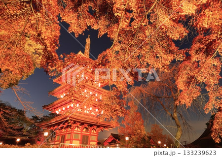 日野市高幡不動尊 五重塔と紅葉 ライトアップ 日野市高幡不動尊 五重塔と紅葉 ライトアップ 133239623