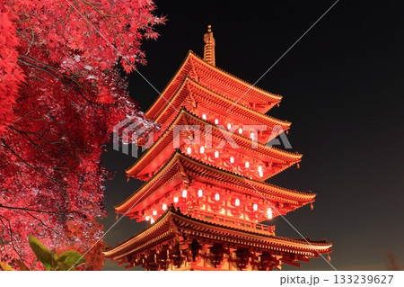 日野市高幡不動尊 五重塔と紅葉 ライトアップ 日野市高幡不動尊 五重塔と紅葉 ライトアップ 133239627