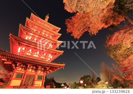 日野市高幡不動尊 五重塔と紅葉 ライトアップ 日野市高幡不動尊 五重塔と紅葉 ライトアップ 133239628