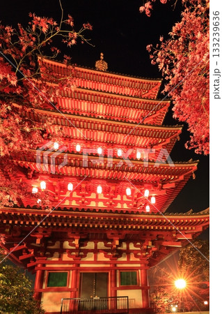 日野市高幡不動尊 五重塔と紅葉 ライトアップ 日野市高幡不動尊 五重塔と紅葉 ライトアップ 133239636