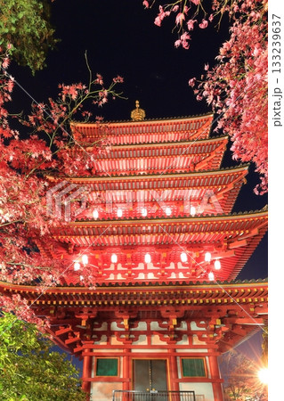 日野市高幡不動尊 五重塔と紅葉 ライトアップ 日野市高幡不動尊 五重塔と紅葉 ライトアップ 133239637