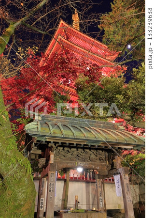 日野市高幡不動尊 五重塔と紅葉 ライトアップ 日野市高幡不動尊 五重塔と紅葉 ライトアップ 133239638