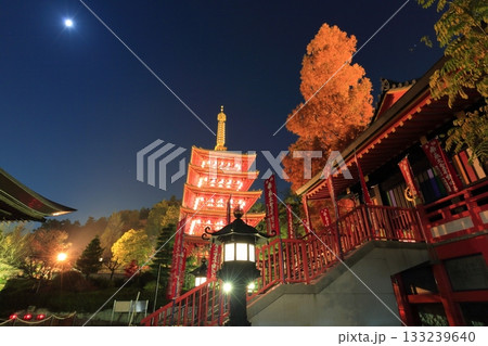 日野市高幡不動尊　五重塔と紅葉　ライトアップ 133239640