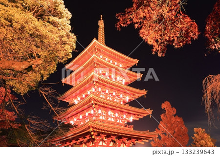 日野市高幡不動尊　五重塔と紅葉　ライトアップ 133239643