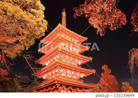 日野市高幡不動尊　五重塔と紅葉　ライトアップ 133239644