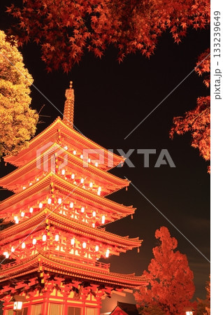 日野市高幡不動尊　五重塔と紅葉　ライトアップ 133239649