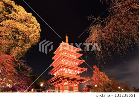 日野市高幡不動尊 五重塔と紅葉 ライトアップ 日野市高幡不動尊 五重塔と紅葉 ライトアップ 133239651