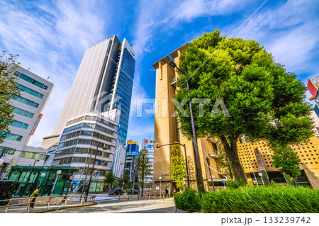 日本の東京都市景観　新風景。池袋駅や新たに誕生した超高層ビル「 IT tower TOKYO」など 133239742