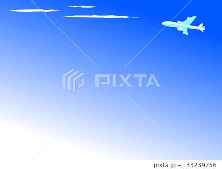 背景付き飛行機　青空 133239756